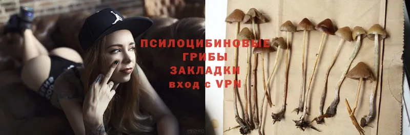 мориарти формула  Козельск  blacksprut как зайти  Псилоцибиновые грибы Psilocybe  закладки 